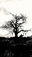 The Witcher 3 Wild Hunt Poster 72026