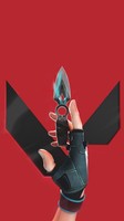 Valorant Poster 74139