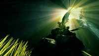 Warframe Poster 75045