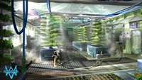 Watch Dogs 2 Poster 75246