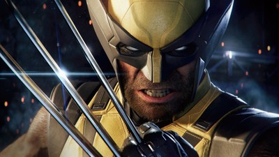 Wolverine Sweatshirt