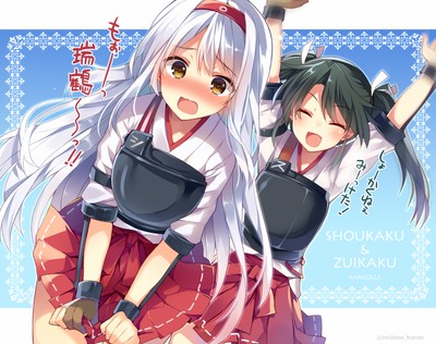 Zuikaku mug